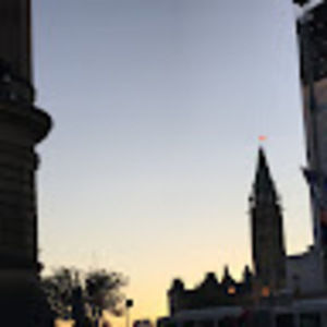 Meet your Posher, Audrey